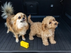 Maty samochodowe, Maty do bagażnika gumowe.